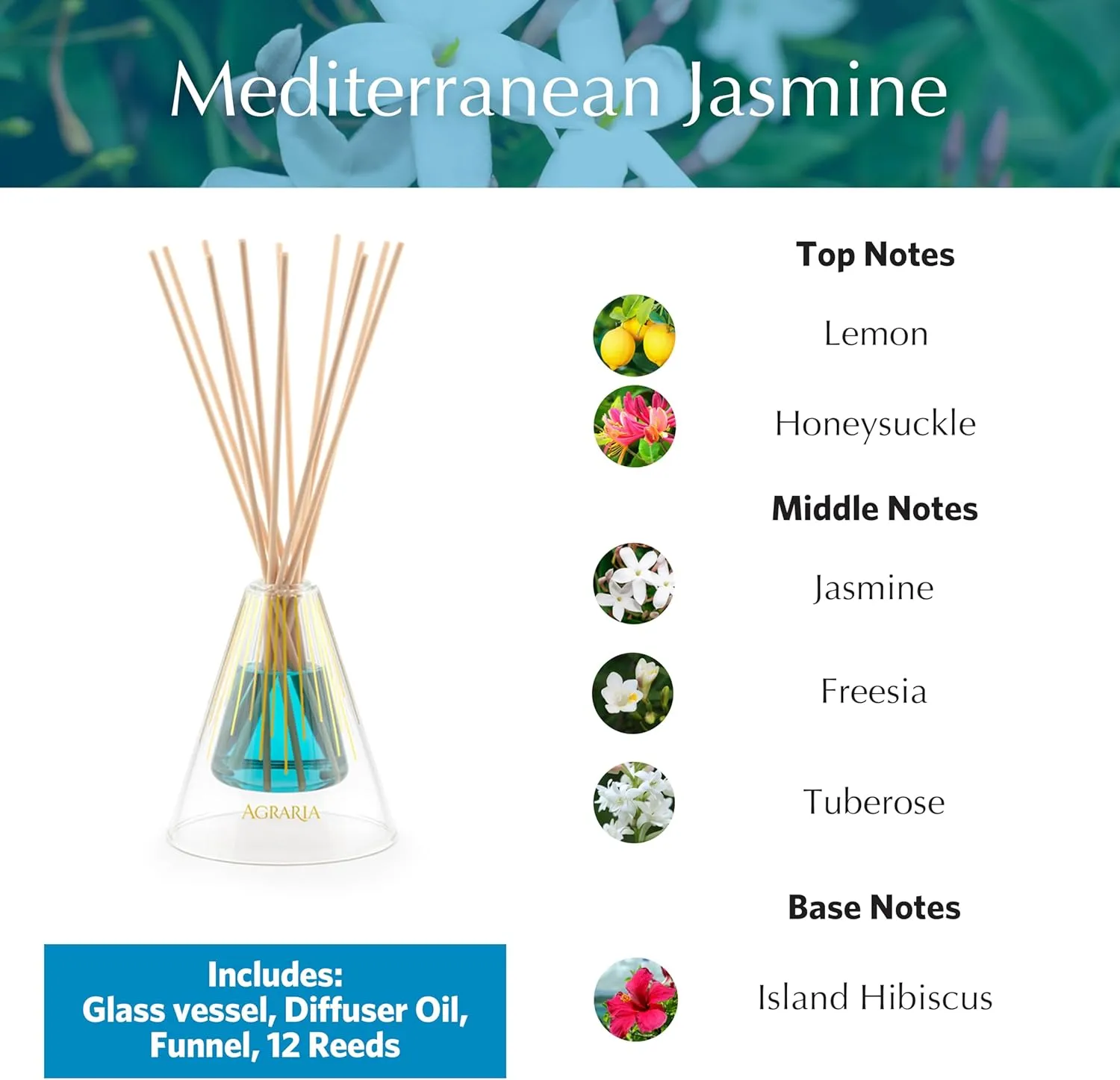 Agraria Mediterranean Jasmine Reed Diffuser Set, 12 Reeds Essential Oil Sticks, Scent Diffusers for Home Fragrance, Scented Oil Diffuser Gift Box