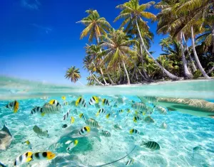 Beach Tropical Fish Jigsaw Puzzles 500 Pieces Wooden Puzzle Prop Summer Seaside Intellectual Fun Game Gifts for Family Adults Friends 20.5 x 15 in