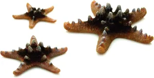 BiOrb 46137.0 Starfish Set 3 Natural Aquariums