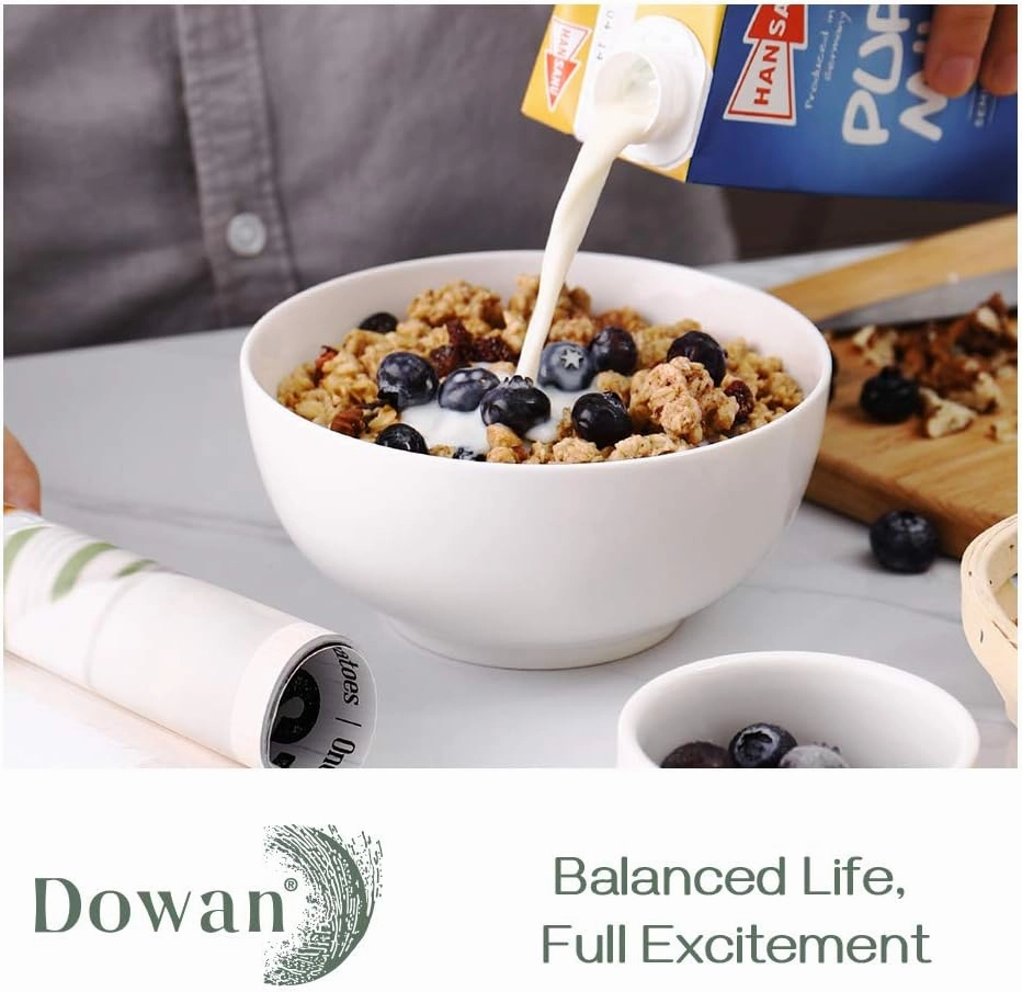 DOWAN 22 OZ White Ceramic Bowls Set of 4 - Perfect for Soup Bowls for Kitchen, Cereal Bowl, Ramen Bowl, Microwave Safe for Oatmeal, Fruit,Salad and Rice Bowl - Dishwasher & Microwave Safe