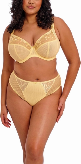 Elomi Women’s Charley Floral Embroidery, Low Plunge, Dd  Bras