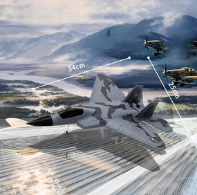 Foam F-22 RC 2 CH Remote Control Fighter Jet Plane Airplane Toy for Adults Kids Boys Beginners Easy Ready to Fly(Camouflage)