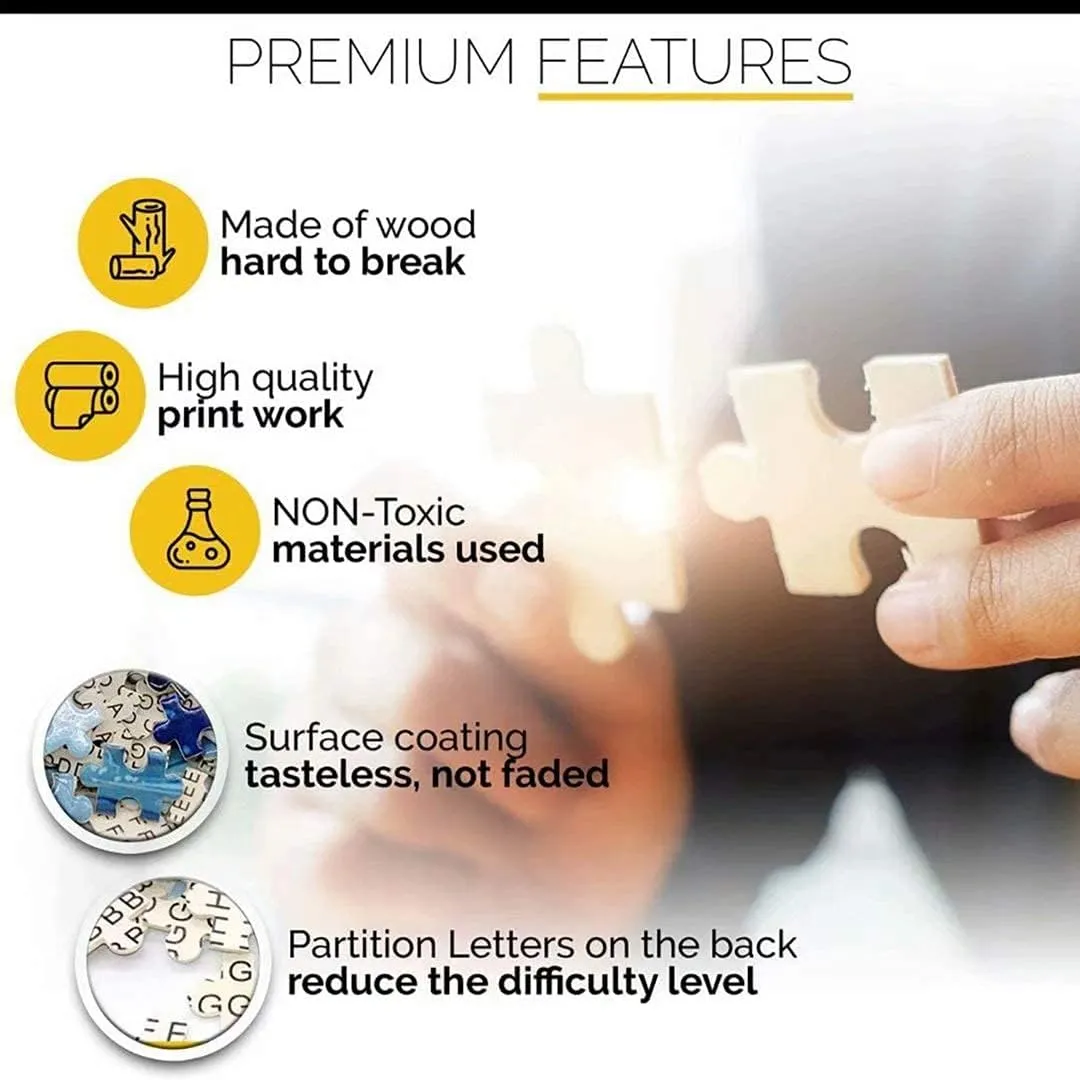 Jigsaw Puzzle 500 Pieces for Adults Guitar Puzzles Challenging The Elegant Piano Player on The Beach Paint by Numbers for Beginners Puzzles for Room Decor & Living Room Decor 20.5 x 15 in