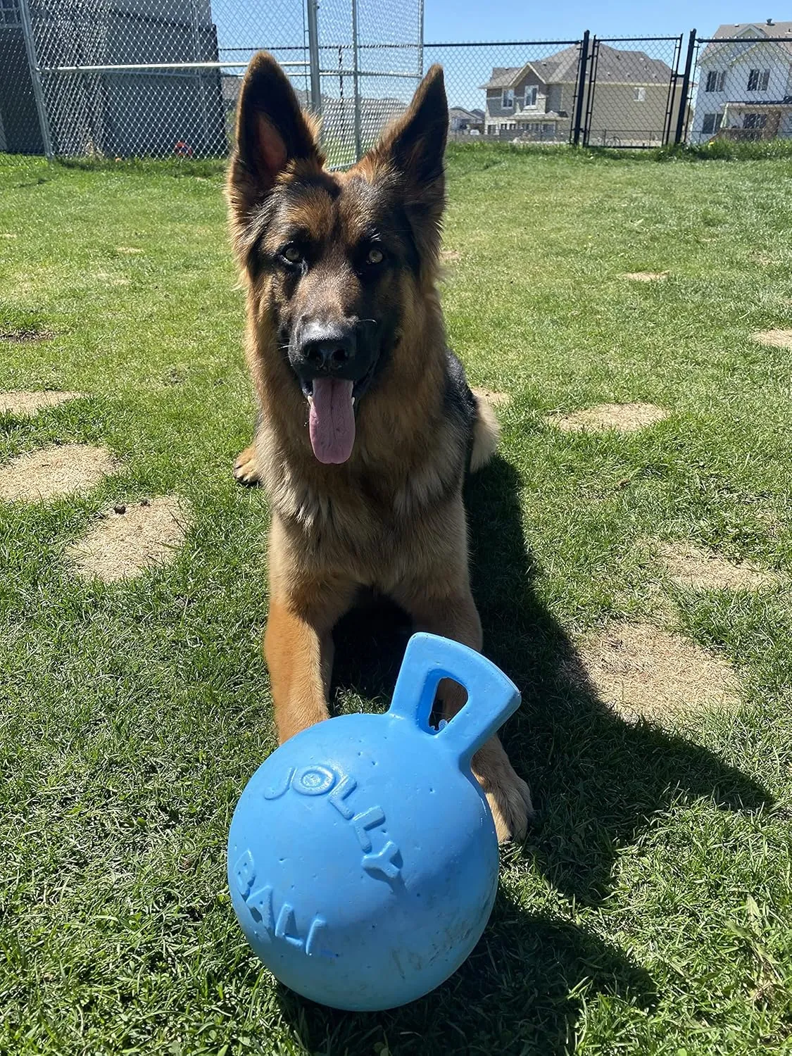 Jolly Pets Tug-n-Toss Heavy Duty Dog Toy Ball with Handle, 8 Inches/Large, Blueberry