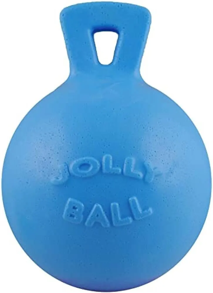 Jolly Pets Tug-n-Toss Heavy Duty Dog Toy Ball with Handle, 8 Inches/Large, Blueberry