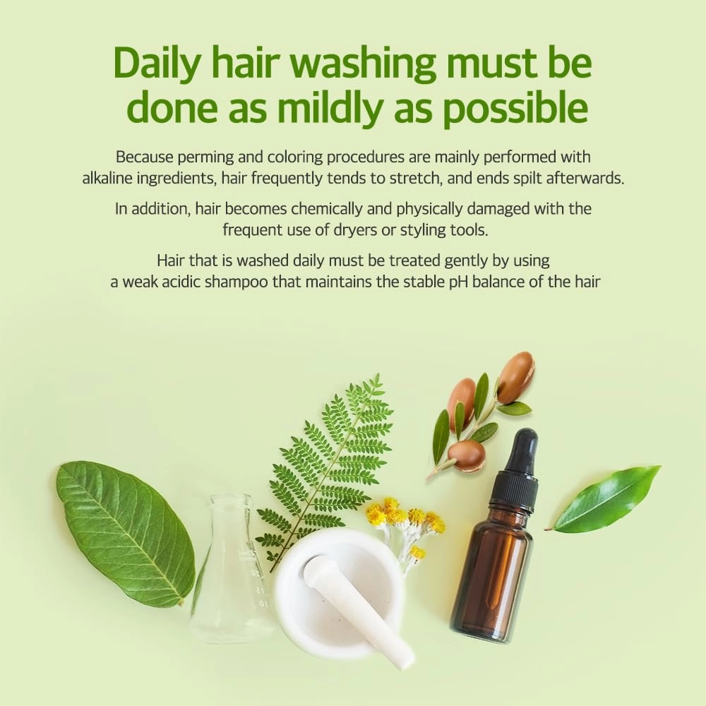 Kerasys Argan Oil Real Nature for Extremely Damaged Hair 33.8 fl oz / 1L (Shampoo   Conditioner   Treatment Set)