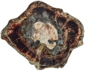 Kim Seybert Fossil Placemat In Brown & Multi, Set of 4