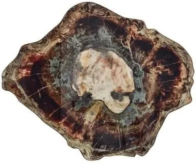 Kim Seybert Fossil Placemat In Brown & Multi, Set of 4