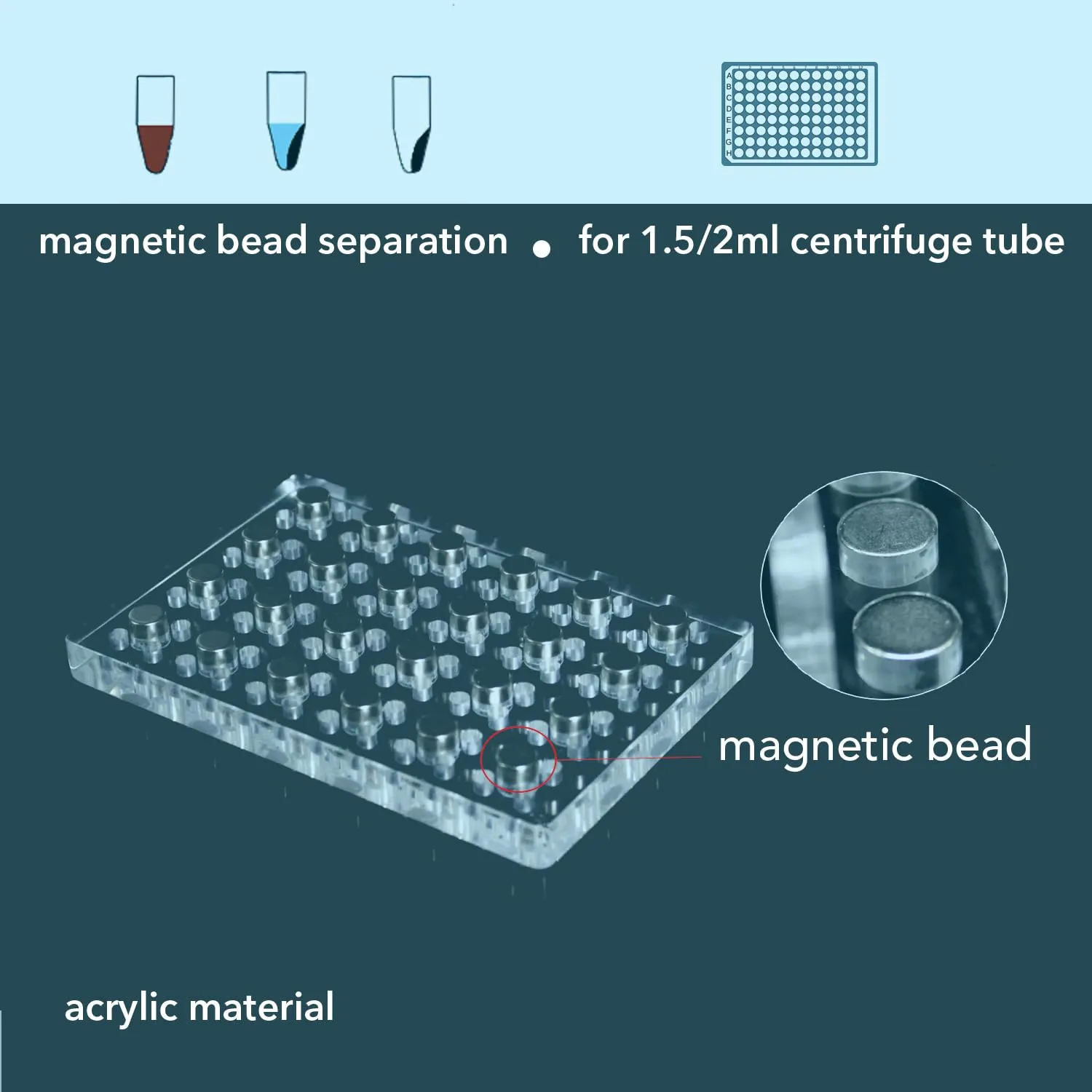 Lab use Magnetic Rack Separator for DNA, RNA or Protein Purification for 96-Well deep Well Plate for 0.1ml or 0.2ml 96-Well microplate