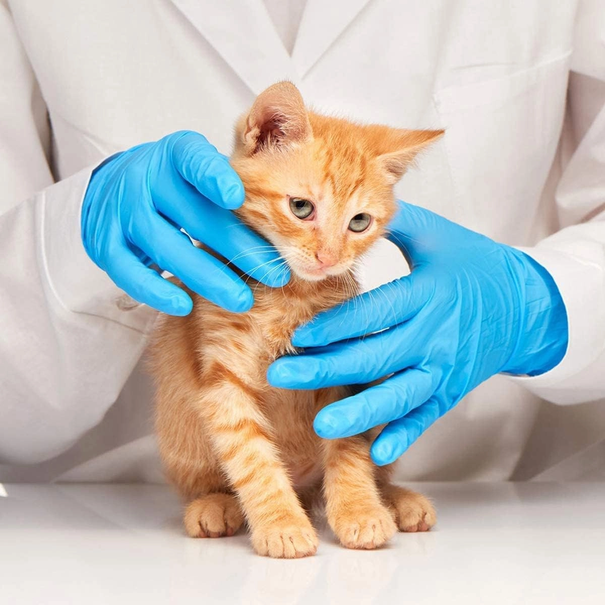 Medical Blue Nitrile Exam Gloves, Latex-Free & Powder-Free Food-Safe House Cleaning Disposable Glove (1000 Pcs)