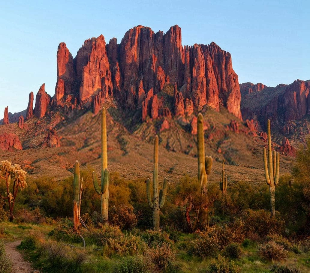 Mountains and Sonoran Desert Landscape at Sunset in Lost Dutchman State Park Jigsaw Puzzle 1000 Pieces for Adults Wooden Jigsaw Puzzle Art,Leisure Fun Gift Suitable Family Friends 29.5 x 20 Inch