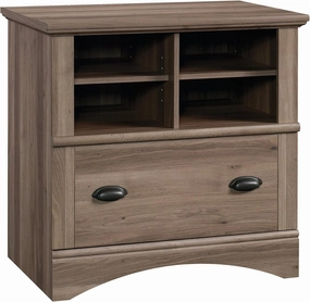 Sauder Harbor View 2 Drawer File Cabinet, Lateral Filing Cabinet with Shelving, in Salt Oak finish