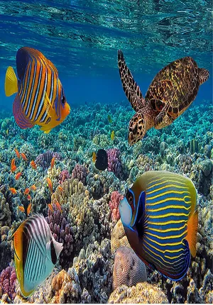 Shallow Corals and Tropical Fish Jigsaw Puzzles for Adults 500 Piece Puzzle for Adults Challenging Puzzle with Letters on Back Challenging Family Puzzle Art DIY Toy Gift