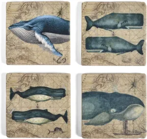 Studio Vertu Whales Marble Coasters, Set of 4