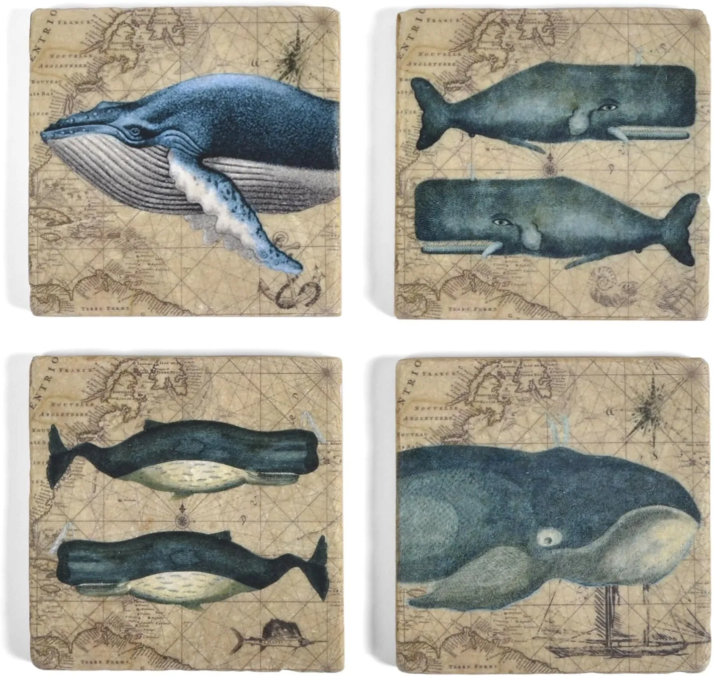 Studio Vertu Whales Marble Coasters, Set of 4