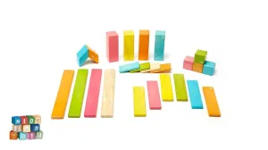 Tegu 24 Piece Magnetic Wooden Block Set: Tints