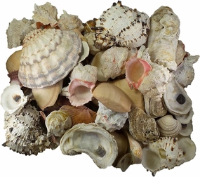 U.S. Shell Garden Shell Bag, 10 Pounds