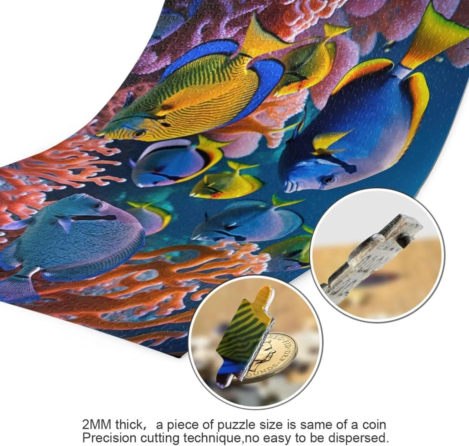 Underwater Fish Jigsaw Puzzles for Kids Adults 1000 Pieces, Fun Educational Games Toy Birthday Gift Art Home Decor Finish Size 29.5 x 20 Inches