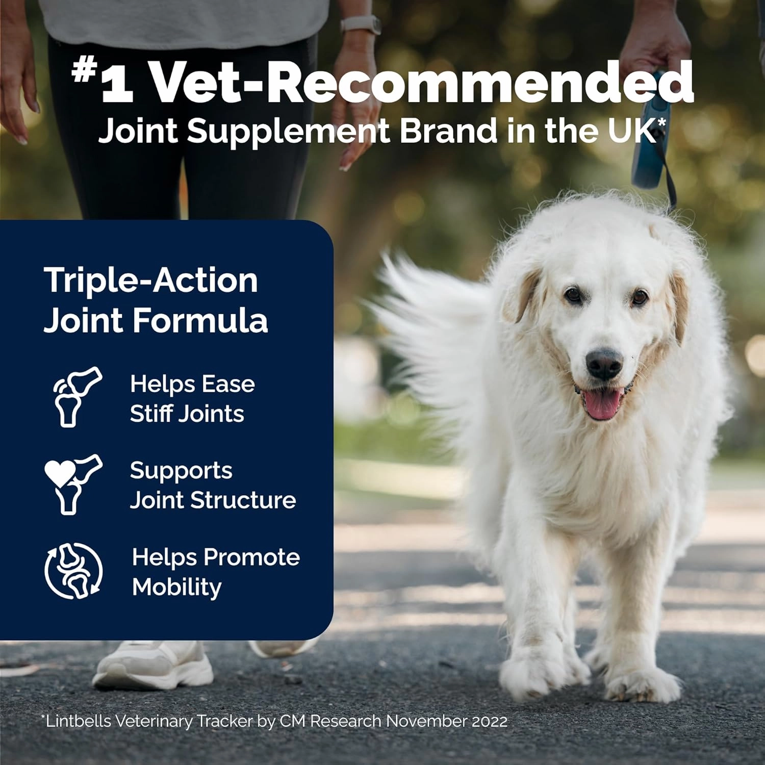 YuMOVE Hip and Joint Supplement - 120 Tablets with Glucosamine, Chondroitin, Omega 3, Hyaluronic Acid, Green Lipped Mussel, & Fish Oil for Dogs - Joint Support Supplement - Senior Dogs